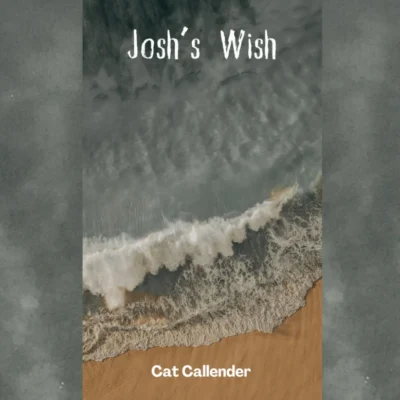 Josh's Wish. A short horror story
